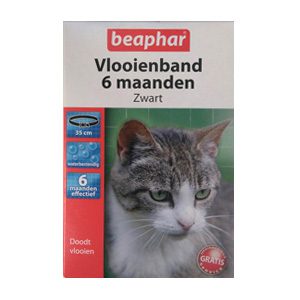 Vlooienband-katten-zwart